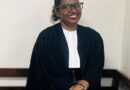 Plea in Supreme Court Seeks Verification of Law Degrees After BCI Chair’s “Fake Advocate” Remarks